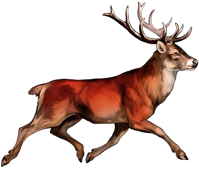 Red Deer Transparent U0026 Png Clipart Free Download Ywd Red Deer Transparent Deer Png