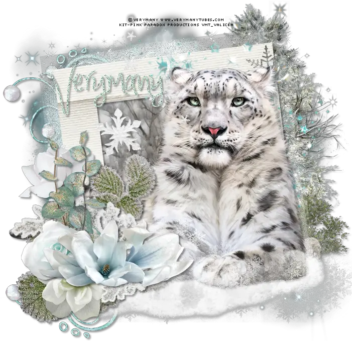 Download Snow Leopard By Verymany Found Snow Leopard Png Snow Leopard Png