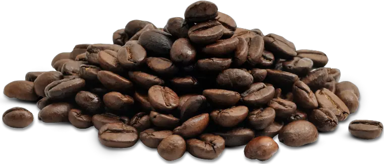 Coffee Beans Png Free Download 15 Images Aloe Vera And Coffee Beans Png
