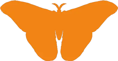 Residential Pest Control London Network For Solutions Png Moth Icon