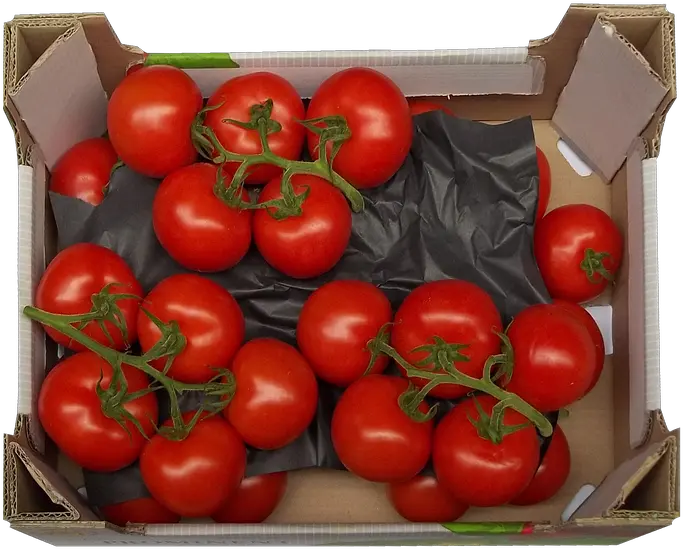 Tomatoes Trusses Box Caja De Tomate Png Tomato Transparent
