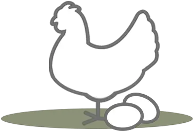 Laying Hen Standards Global Animal Partnership Png How To Get Rooster Icon