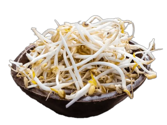 Bowl Of Soybean Sprouts Transparent Png Transparent Bean Sprouts Png Sprout Png