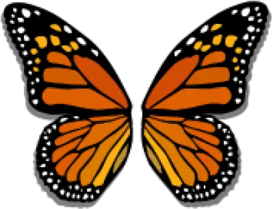 Download Free Png Butterfly Wings Cute Cartoon Butterfly Wings Butterfly Wing Png