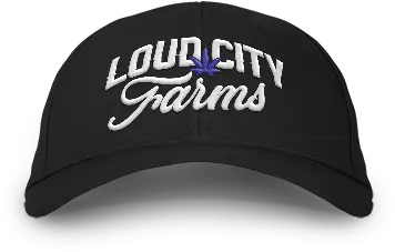 Loud City Farms Dad Hat For Adult Png Dad Hat Png