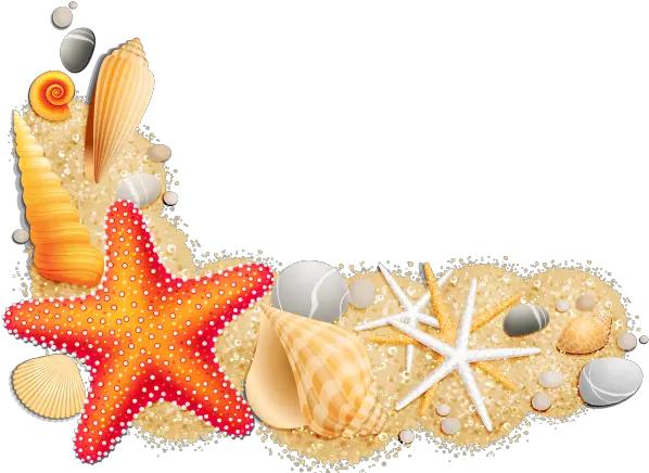 Clip Art Clipart Seashell Png Transparent Seashell Png