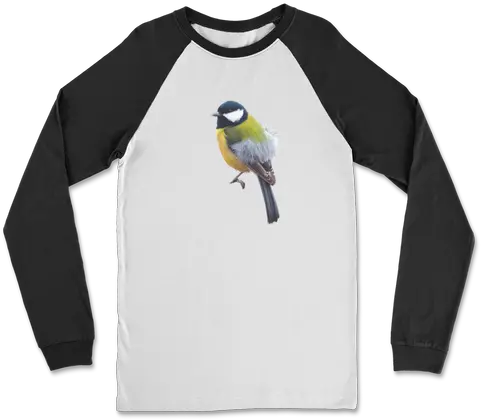 Great Tit Png Icon