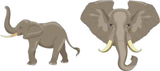 Elephant Cursor U2013 Custom Elephant Cursor Png Elephant Tusk Icon