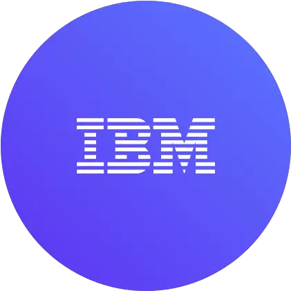 Ibm Elite Business Partner Cognos Silver Reseller Ibm Partner Png Ibm Icon