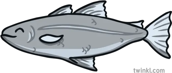 Swimming Fish Animated Tail Y2 Gymnastics Under The Sea Lesson 1 Capelin Png Fish Swimming Png