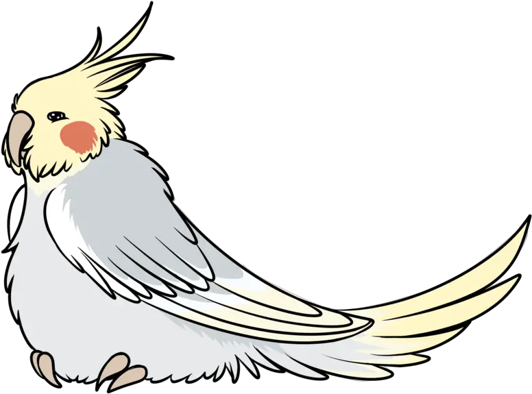 Download Cockatiel Png Minecraft Parrot No Background Parrot Transparent