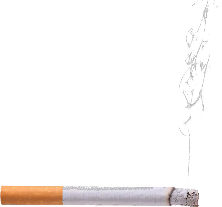 Smoking Cigarette Png Picture Cigarette Smoke White Background Tobacco Png