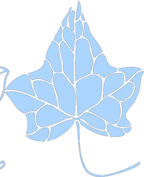 Ivy Leaf Png Svg Clip Art For Web Download Clip Art Png Sugar Maple Ivy Icon