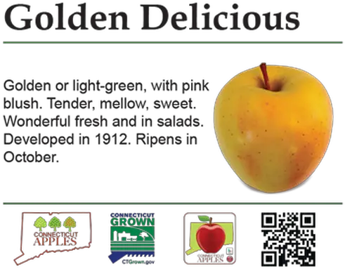 Apple Varieties Pdfs Ct Apples Apple Png Golden Apple Png