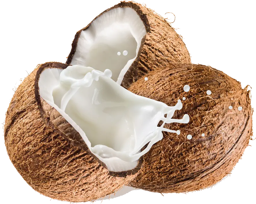 Coconut Transparent Background Png Coconut Milk Splash Png Coconut Transparent