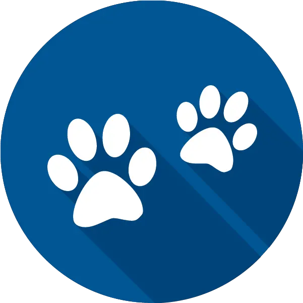 Travel Info Manage Faqs Route Map Allegiant Pet Logo Png Link Pet Friendly Icon