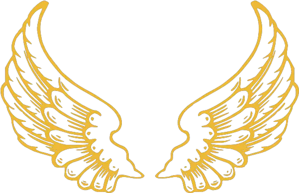Gold Wings Clipart Gold Wings Vector Png Wing Png