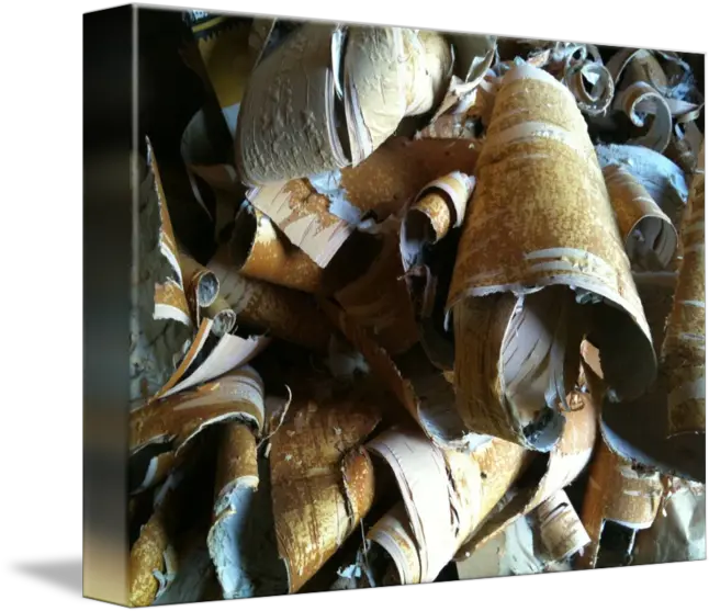 Tree Bark Chips By Anita Couto Weapon Png Tree Bark Png