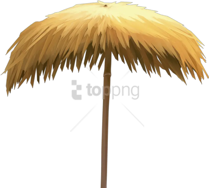 Download Free Png Straw Beach Umbrella