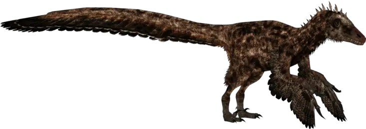 Utahraptor Ostrommaysorum Zt2 Utahraptor Png Zoo Tycoon 2 Icon