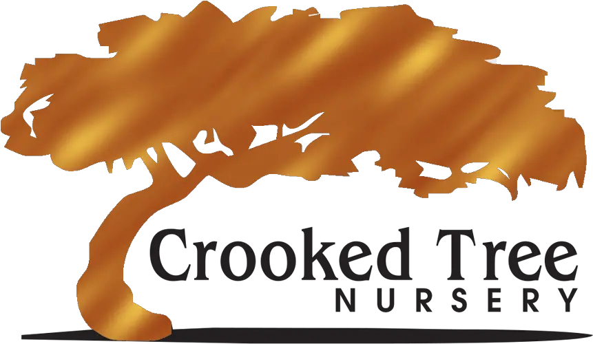 Crooked Tree Nursery Owosso Michigan Landscaping Crooked Horizontal Png Tree Logo