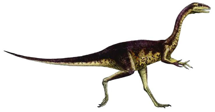 Dinosaur Png Carnivorous Dinosaurs Names 740x388 Png Dinosaur Elaphrosaurus Dinosaur Png