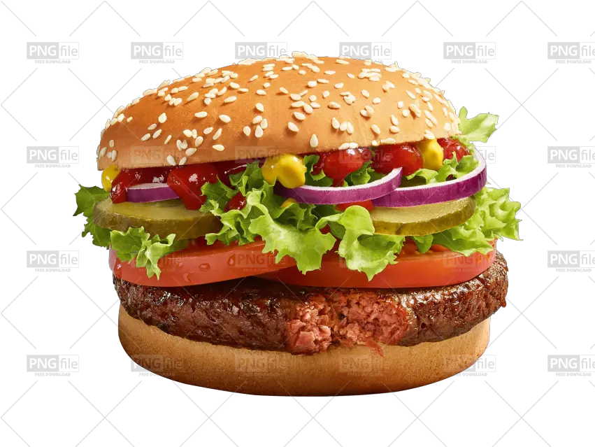 Chicken Berger Png Free Download Photo 65 Pngfilenet Burgerim Falafel Burger Vegan Fast Food Png