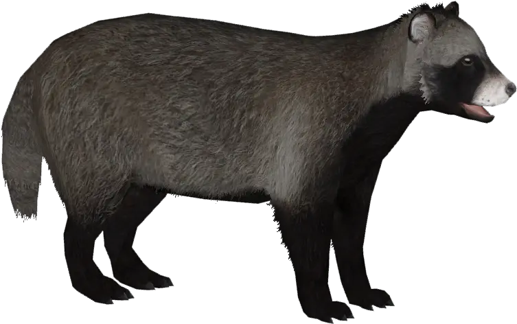 Raccoon Dog Png Transparent Raccoon Dog Raccoon Transparent