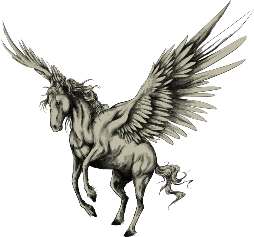 Png Image Transparent Background Pegasus Tattoo Pegasus Png