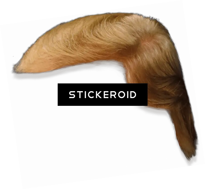 Download Donald Trump Hair Side View Lace Wig Png Donald Trump Hair Png