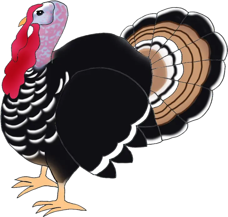 Library Of Thanksgiving Turkey Banner Royalty Free Download Turkey Bird Hd Png Turkey Clipart Transparent Background