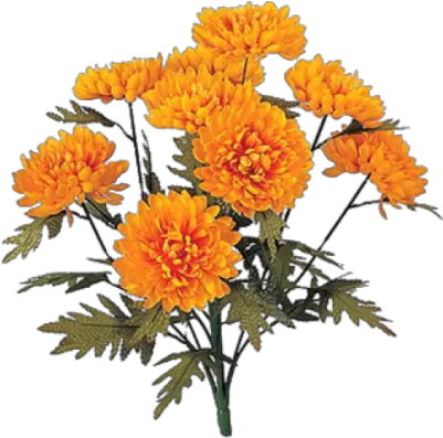 Marigold Icon Clipart Chrysanthemum Flowers Png Marigold Png