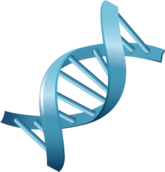 Dna Png Transparent Dna Molecules Transparent Background Biology Vector Dna Png