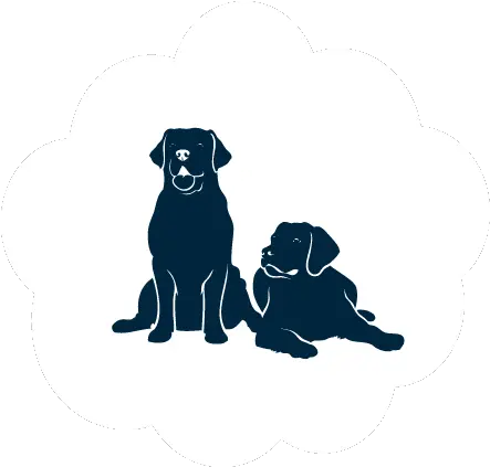 Pet Bed Selector Two Dogs Icon Transparent Png Dog Icon Transparent