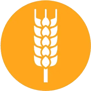 Wheat Nobackground U2013 Caige Emblem Png Wheat Transparent Background