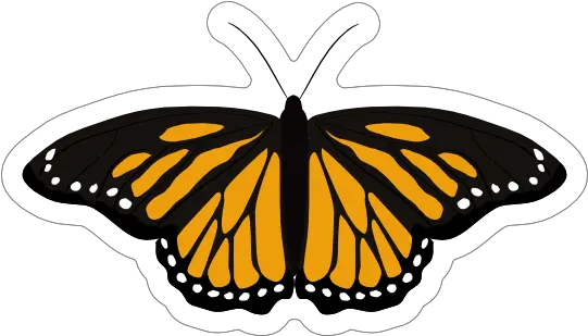 Amazing Spotted Yellow Butterfly Sticker Harry Styles Tapestry Treat People With Kindness Png Yellow Butterfly Png