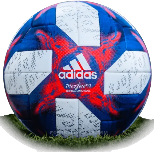 Tricolore 19 Is Official Final Match Ball Of Womenu0027s World Cup World Cup Ball 2019 Png Soccer Ball Png