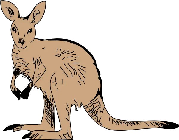 Kangaroo Png Transparent Clipart Kangaroo Clip Art Kangaroo Transparent Background