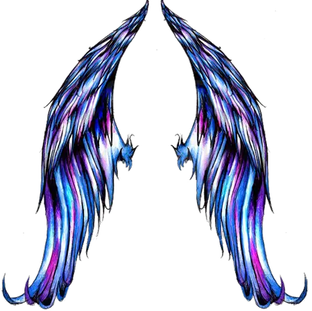 Angel Wings Religion Png 6659 Transparentpng Wings Tattoo Designs Angel Wings Transparent Background