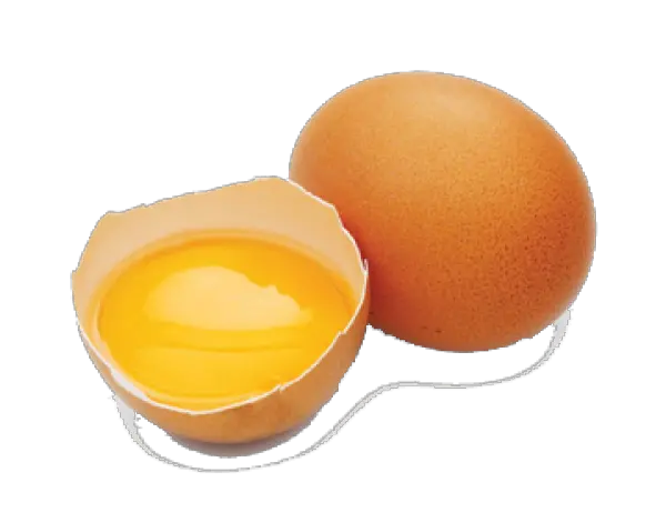 Cracked Png And Vectors For Free Cracked Egg Png Cracked Egg Png