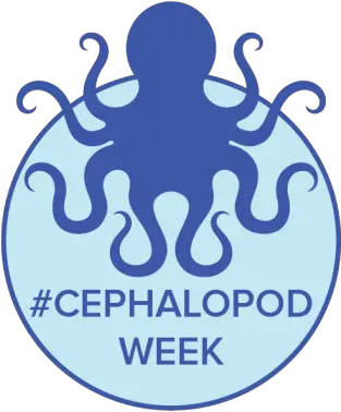 Science Fridayu0027s Cephalopod Movie Night Presented By Capital Please Do Not Taunt The Octopus Png Movie Night Png