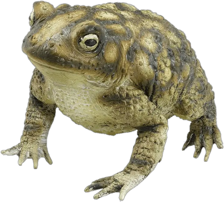 Rubber Toad Transparent Png Toad Transparent Png Toad Png