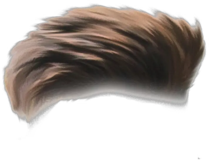 Hair Png Transparent Images Pictures Hair Png Hd Hair Png