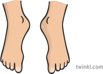 Feet Illustration Twinkl Feet Illustration Png Feet Png