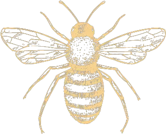 Bloom Honeybee Png Bee Png