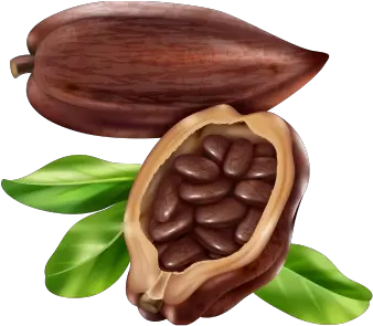 Arizona Sun Brew Coffee Sedona Blend Pods Shop Arizona Cocoa Beans Clipart Png Chocolate Bean Icon