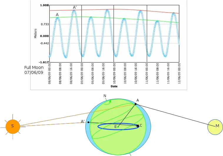 Filetide Effectssvg Wikipedia Diagram Png Tide Png