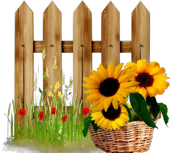 Fence Clipart Sunflower Transparent Free Sunflower Fence Clipart Png Sunflower Clipart Png