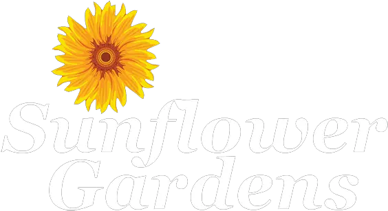 Sunflower Gardens An Alzheimers Angela Png Sunflower Logo
