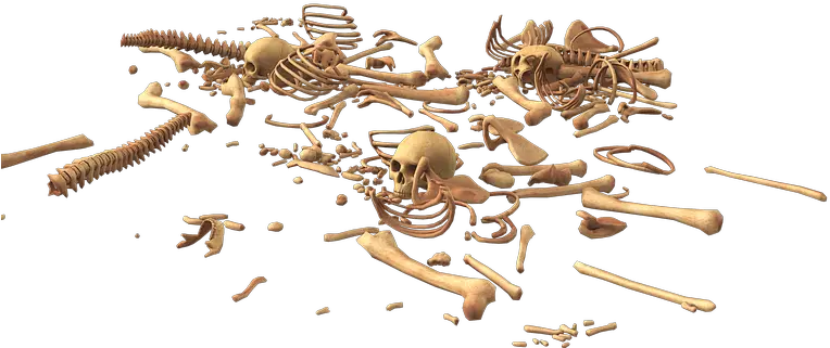 Skeleton Png Images Free Png Library Transparent Bone Pile Png Skull And Crossbones Transparent Background